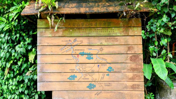 大尖山步道2833786