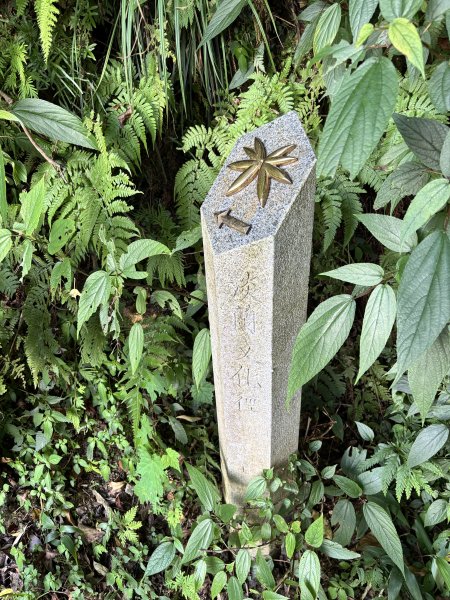 九五峰、南港山、拇指山、象山2875009