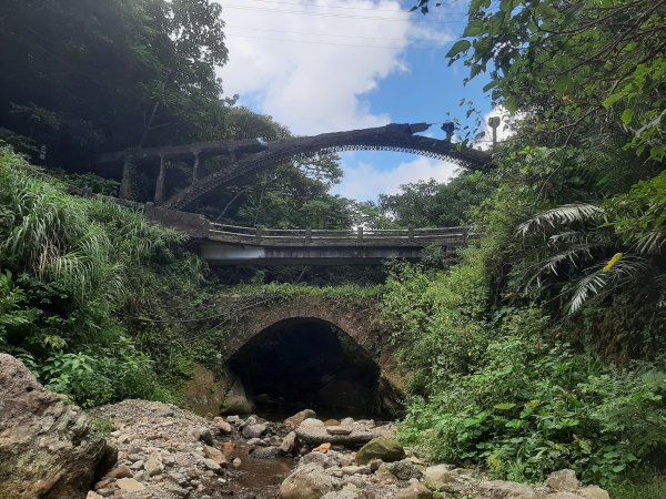 金瓜石，與奈良美智的詩意邂逅2883181