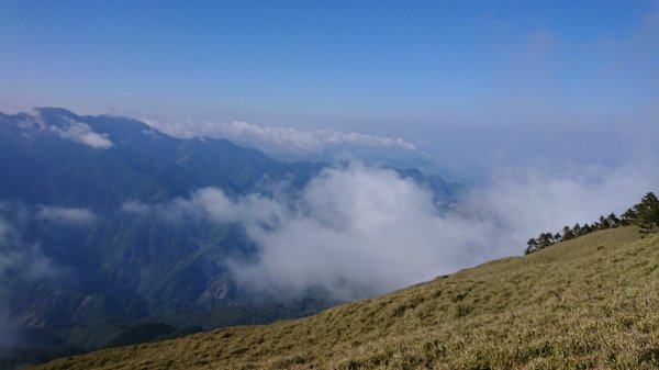 合歡山五座百岳賞杜鵑花587036