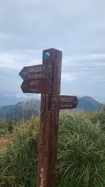 2026-0116 大屯三山_貴子坑_北投2984847