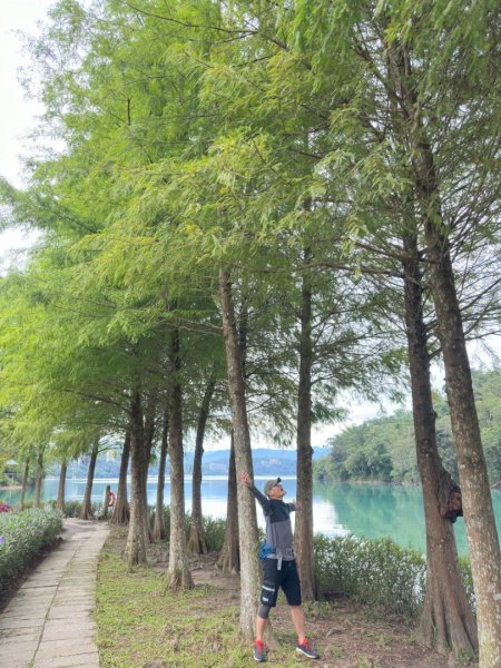 🚴 🐢🐢🐢🚵日月潭環湖咖搭車漫遊2895610