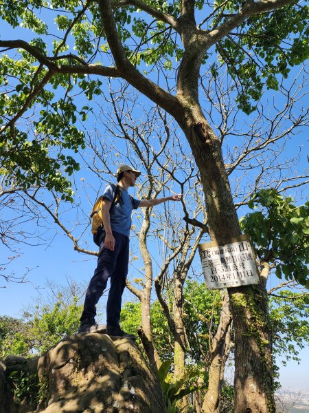 小百岳No.19⛰福德坑山(鳶山)2739706