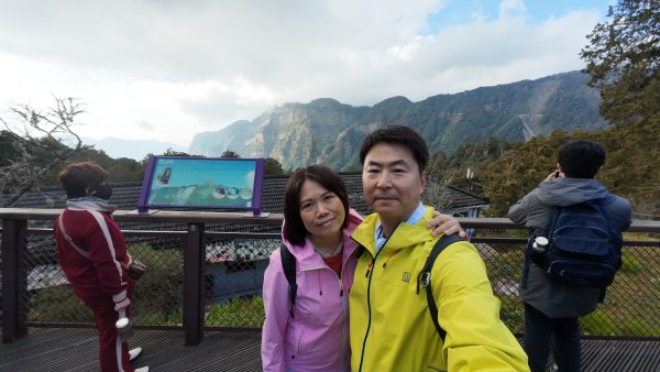 阿里山眠月線2972762