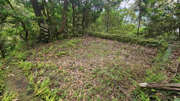 20250502大崙古道-崩山大崙-大崙西北峰-天王峰2776306