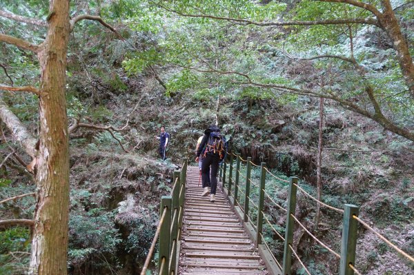 1090413中之關天池-初嚐梅子雞940906