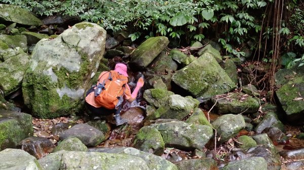 (姨婆趴趴走)第十六集:東滿步道，台灣百大必訪步道2220534