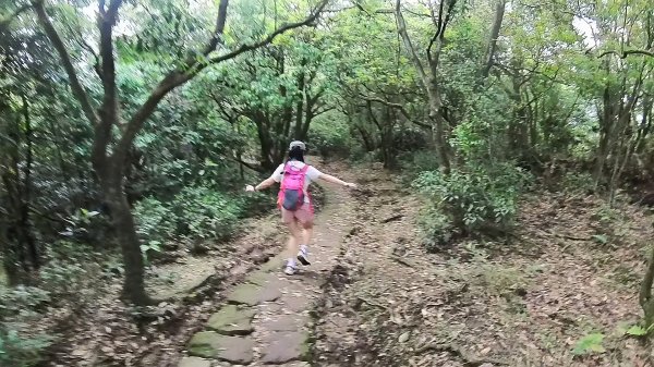 20250501_陽明山東西大縱走-round#32784139