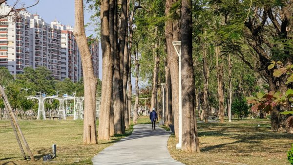 【蛇年走春】明日高雄、雙城線、愛河線2705584