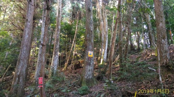 小百岳行~加里山(#34)，苗栗縣山500988