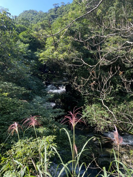 1111112新北市草嶺古道2673031