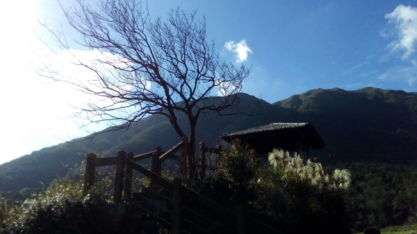 中正山．青楓步道．竹子湖93709