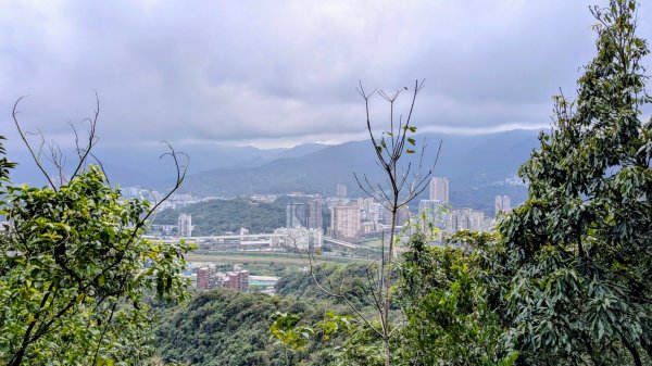 七二法則的倍數樂章2984132