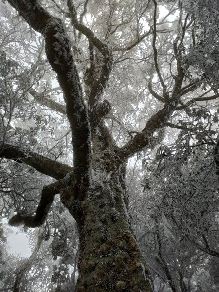 雪季北得拉曼2956411
