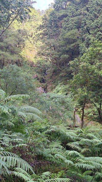 棲松縱走未竟2918392