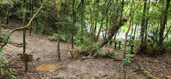 阿哲/小黑3031514