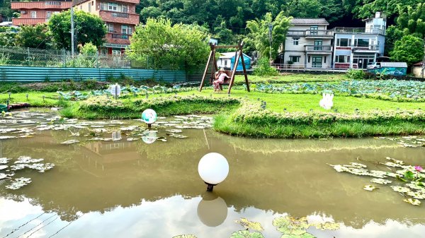 月眉坑瀑布步道.卯澳.雙柑公路2224833