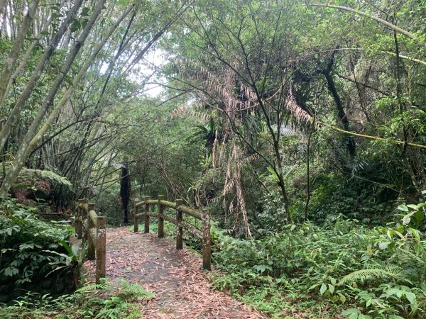 大崎棟古道、騎龍古道2772349