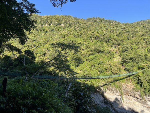 [玉山尋寶任務-03/12] 2025_0810 瓦拉米步道2857380