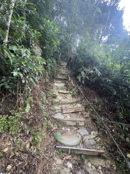 20251227尾寮山登山步道2970528
