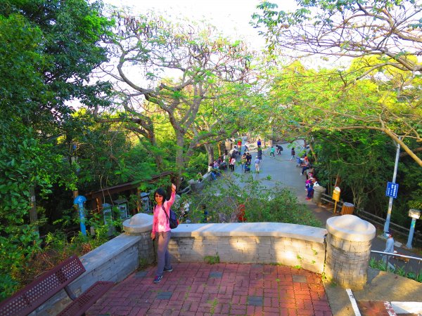 【新竹】親子步道：走十八尖山順賞清華梅園808621