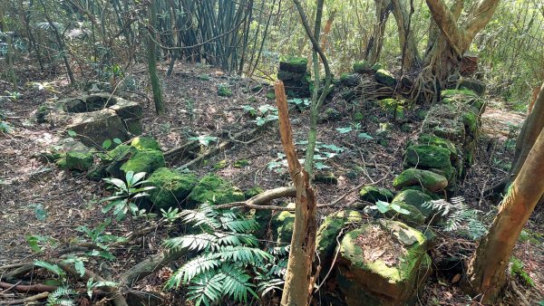 萬里瑪鋉山群峰古道行2763438