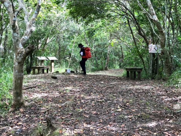 花蓮月眉山步道封面