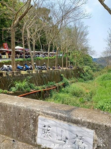 【彰化員林】員林百果山上最具人氣的休閒步道。 台灣百大必訪步道。 藤山步道1689488