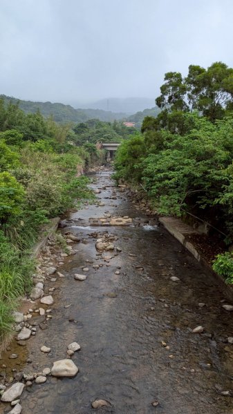 114.05.04三芝桐花步道-百年田梯步道-大鵬足湯公園2779903