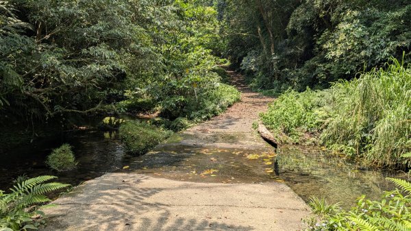 115.04.12金平山西峰-蝙蝠洞之旅3034708