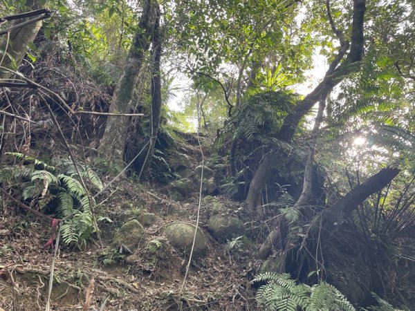 月扇湖大岩壁2952412