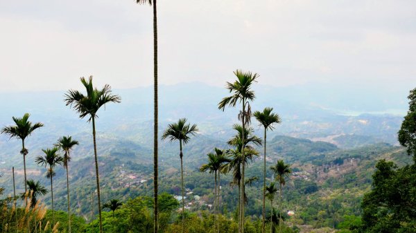 梅嶺竹子尖山2987429