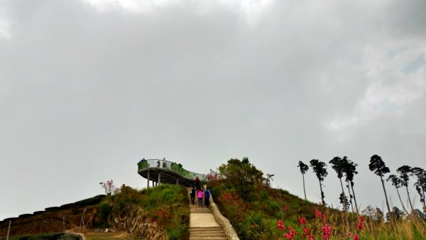 番子田山～雲嶺之丘861311