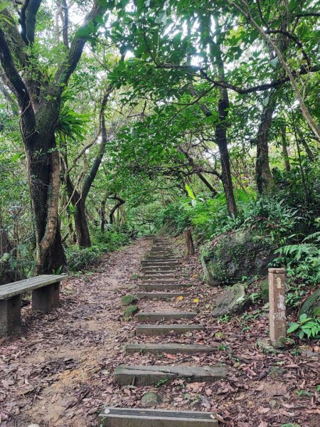 土庫岳-小百岳#14-新北市深坑區2247863