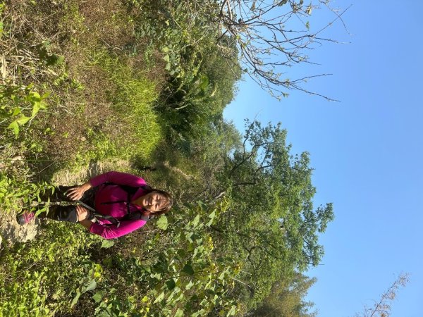 高雄美濃月光山2734927