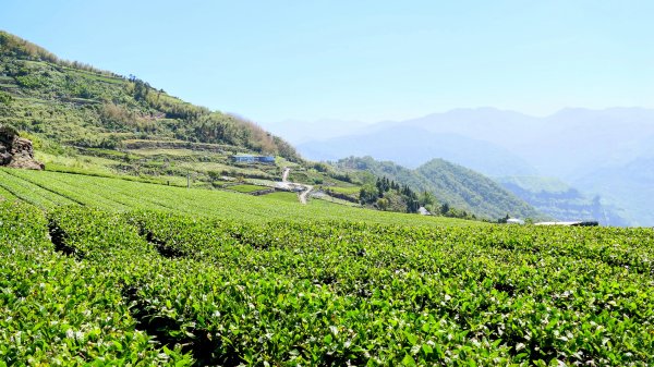 二延平步道。貿易戰2764953