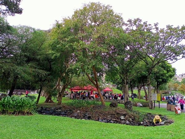 大湖公園《門庭若市》1903741