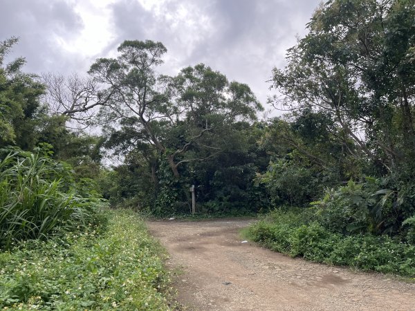 2024_1020 貴子坑親山步道2634239