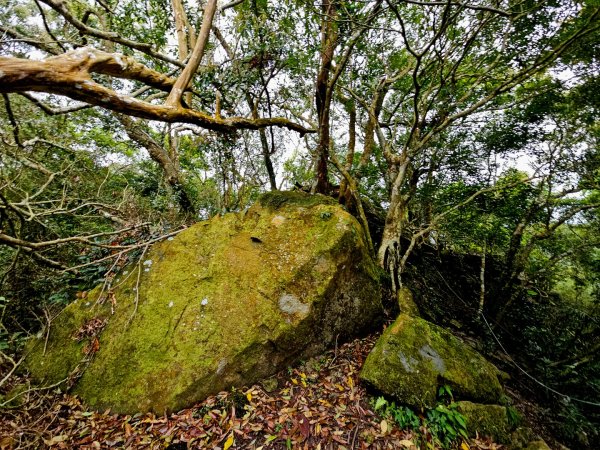 白雲山-小百岳#69-高雄市甲仙區2750257