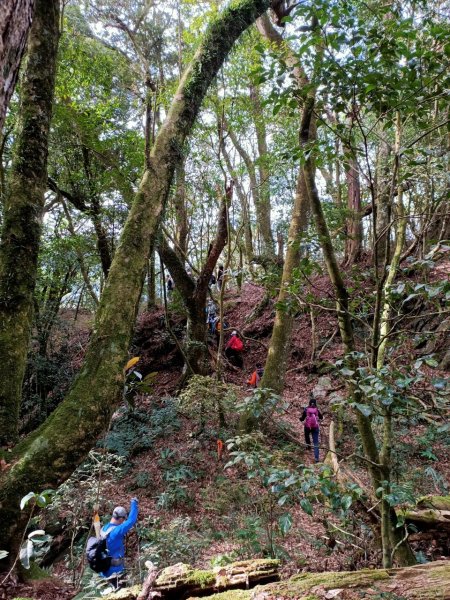 2022年02月13日(彰山協)南投日月潭四兄妹之中級山~大尖山縱走水社大山1613414