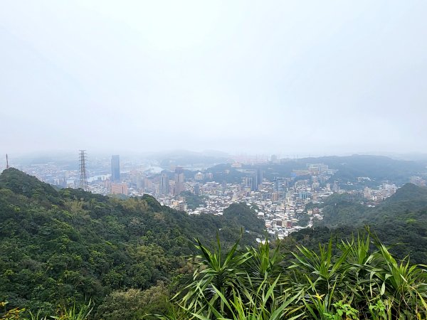 小百岳No.7⛰紅淡山2429865