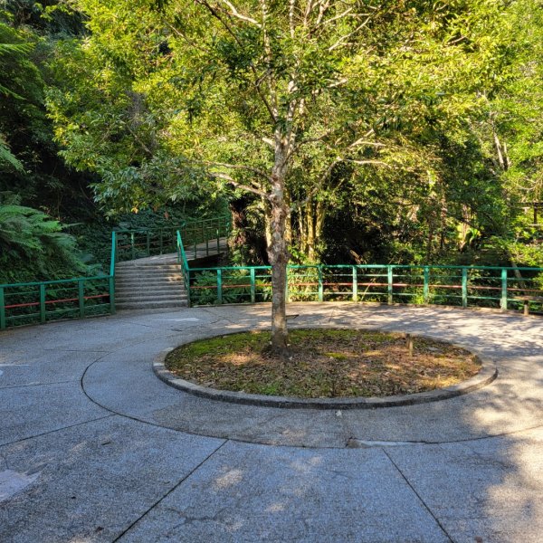 鳳凰谷步道1965927