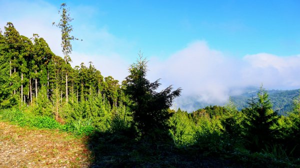 油羅山(一上三下)2959116