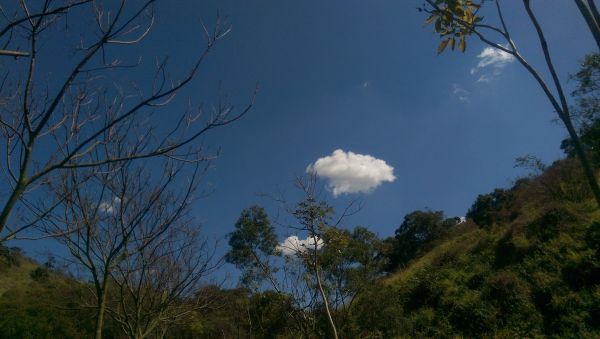 竹坑南寮登山步道283814