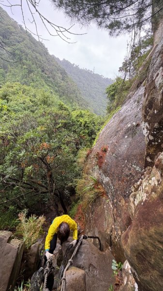 迎新（2026元旦2975614