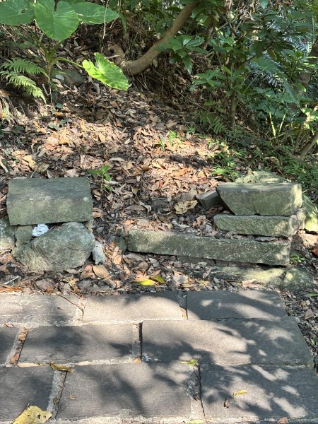 觀音山硬漢嶺 22899077