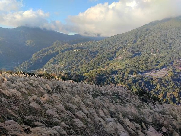 1121121紗帽山3098585