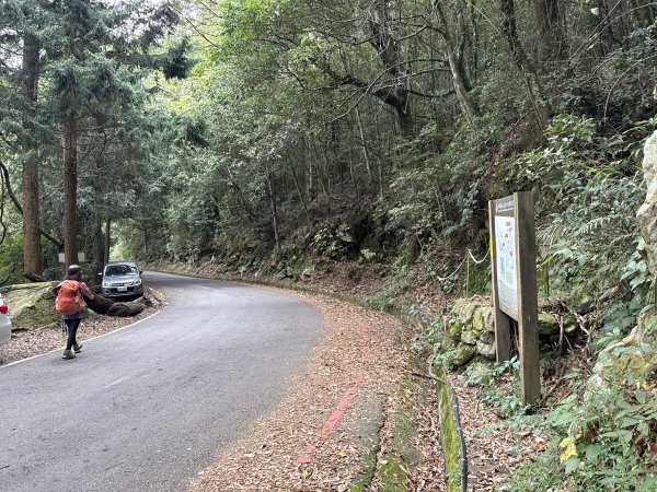 鳶嘴山+稍來神木 202508302873918