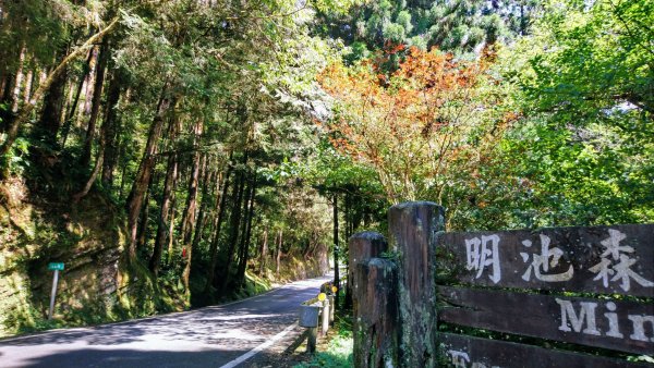 婆羅山1029219