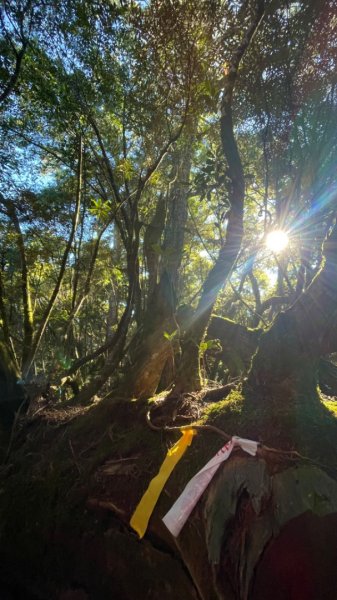 塔魔巴2天1夜來回/復興尖-四稜溫泉2357310